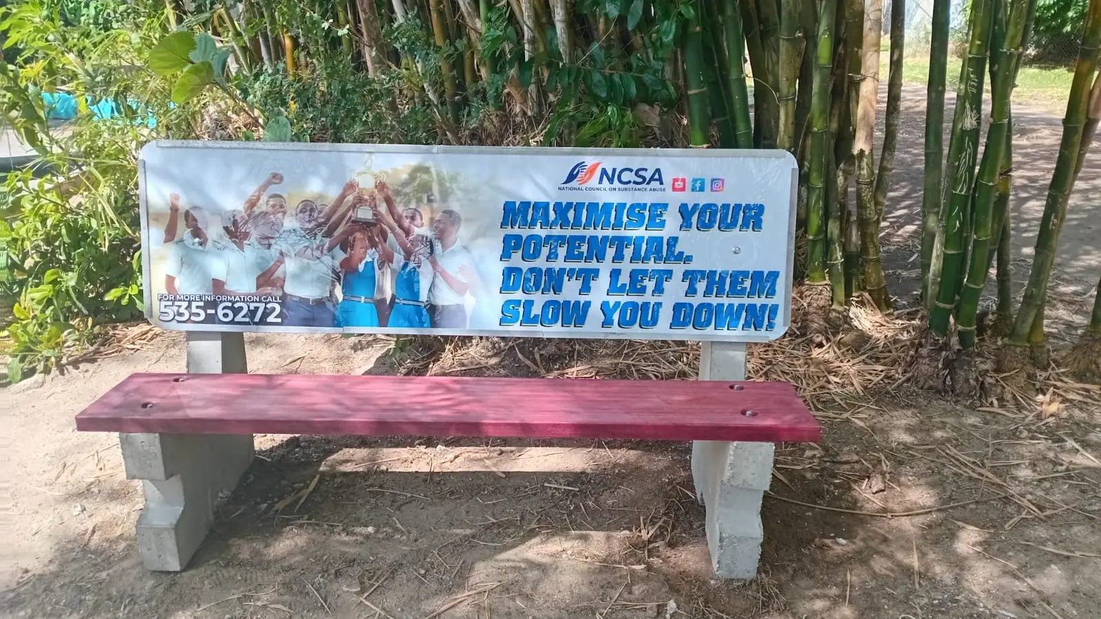 Alexandra School NCSA Bench